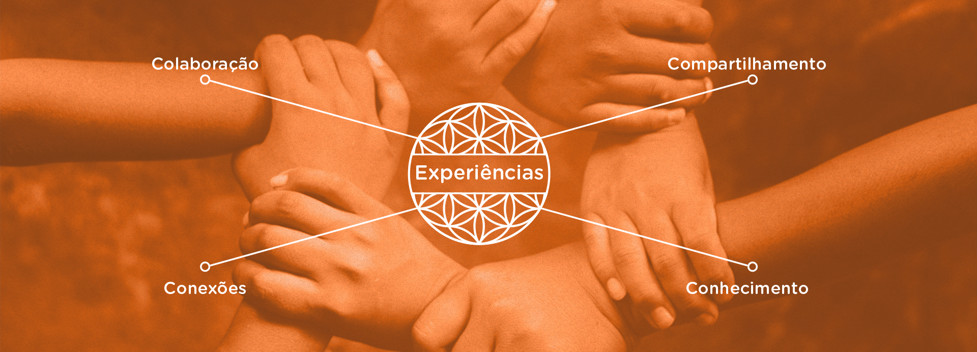 Experiencias